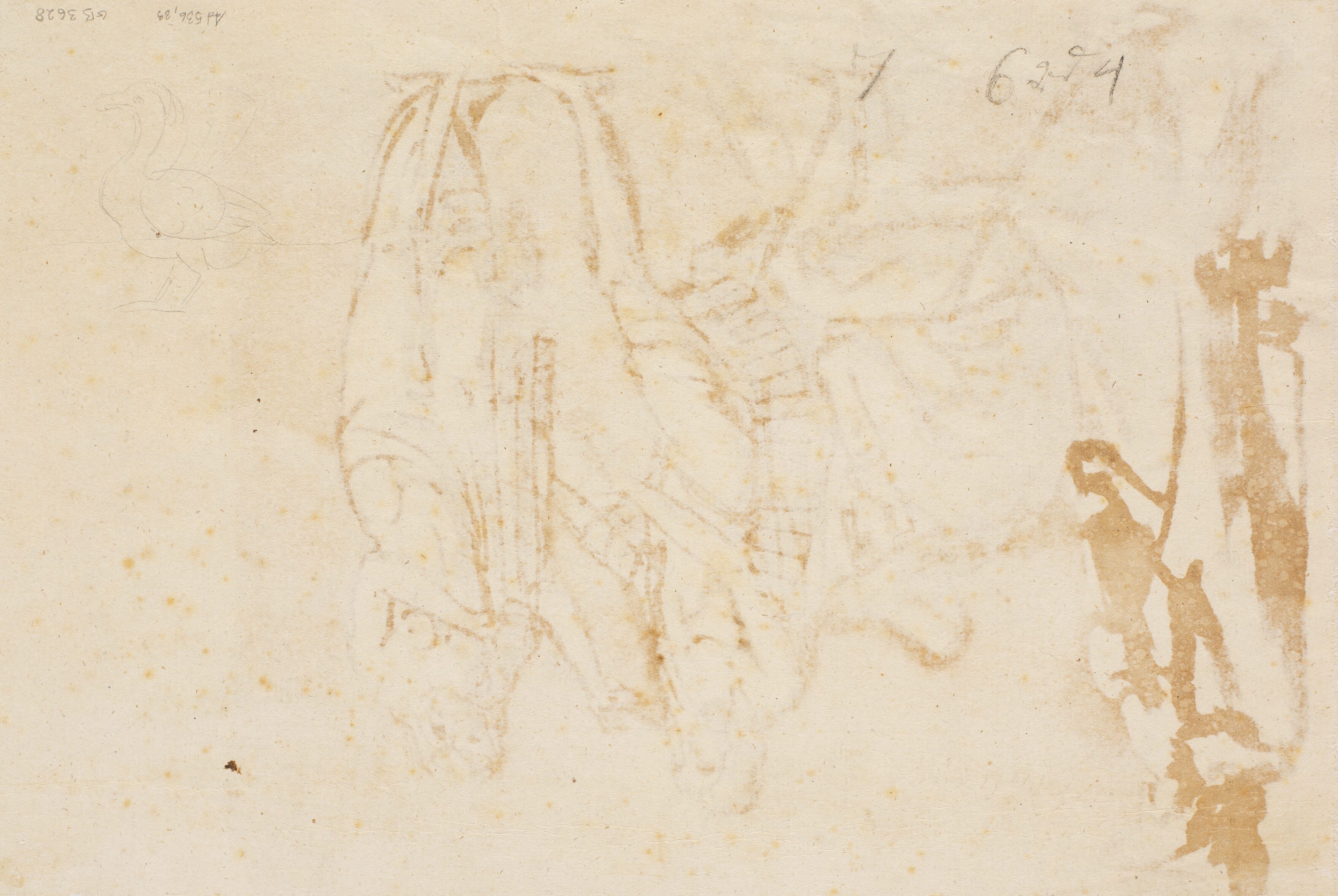 Svagt rids af en fugl